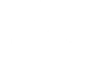 Logo der Influencer Darts WM